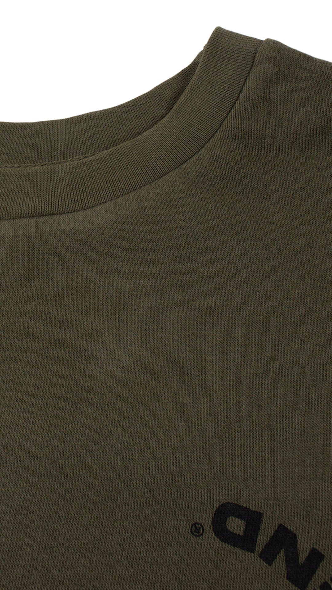 DESSUADORA VERDA COLL RODÓ